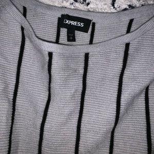 Express Sweater